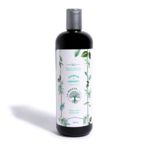 Shampoo de Argán para Cabello Seco y Dañado – Hidratación Profunda 500 ml | La Receta