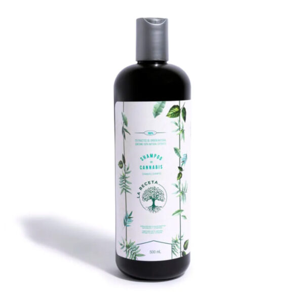 Shampoo de Argán para Cabello Seco y Dañado – Hidratación Profunda 500 ml | La Receta